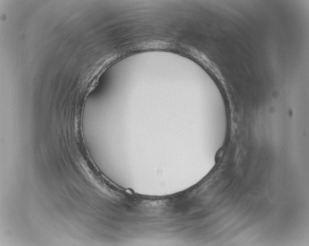 X0000052610057200507221709