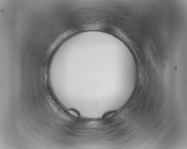 X0000052610059200507221709