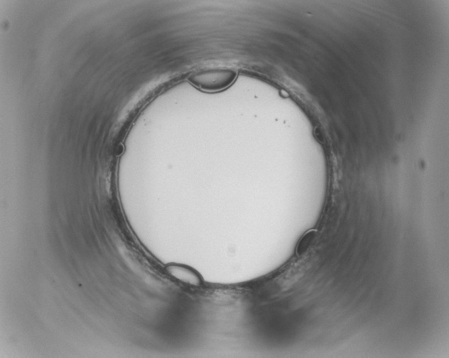 X0000052610060200507221709