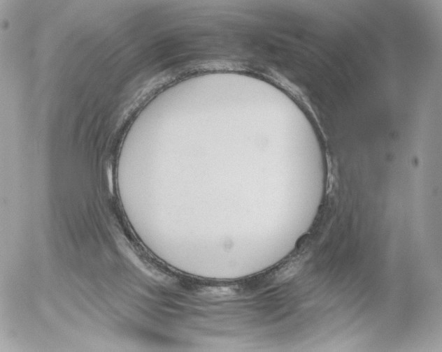 X0000052610061200507221709