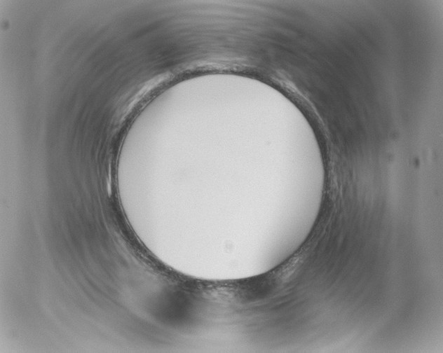 X0000052610062200507221709