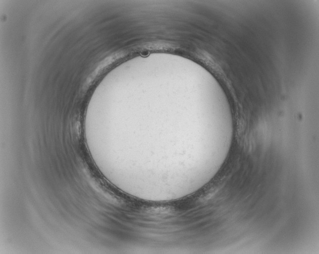 X0000052610063200507221710