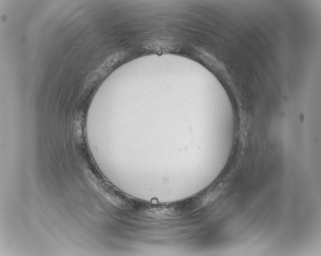 X0000052610065200507221710