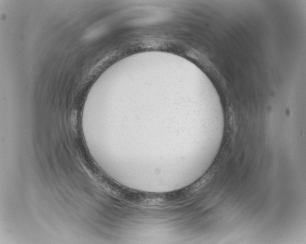 X0000052610066200507221710