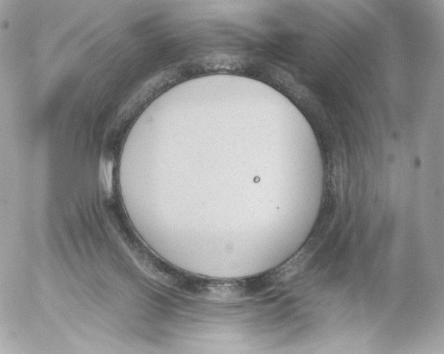 X0000052610070200507221710