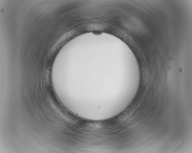 X0000052610071200507221710