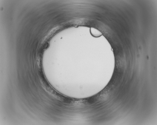 X0000052610072200507221710