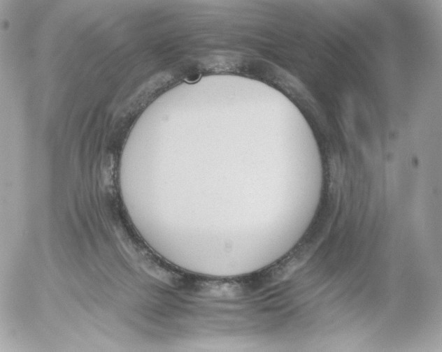 X0000052610073200507221710