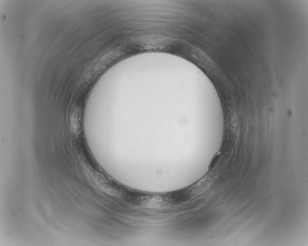 X0000052610074200507221710