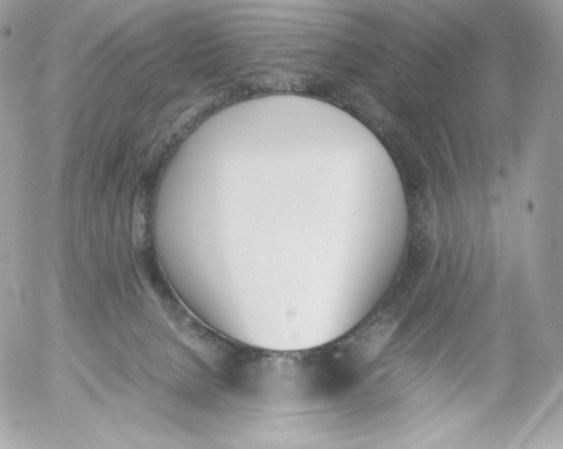 X0000052610080200507221710