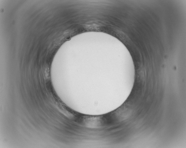 X0000052610081200507221710