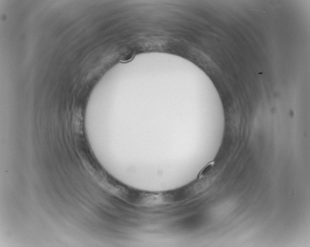 X0000052610083200507221710