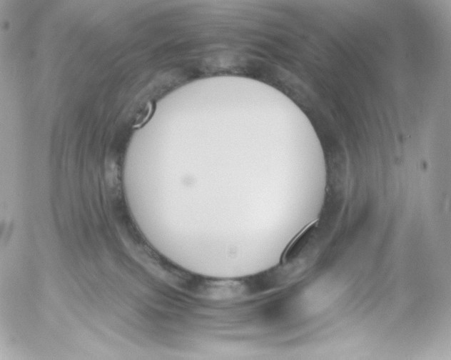 X0000052610087200507221710