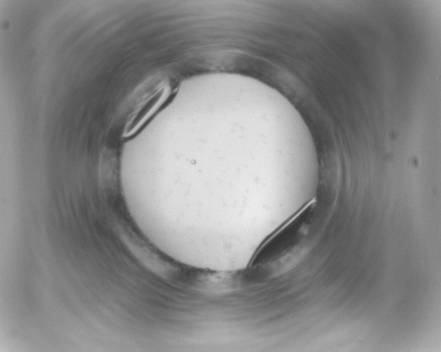 X0000052610092200507221710