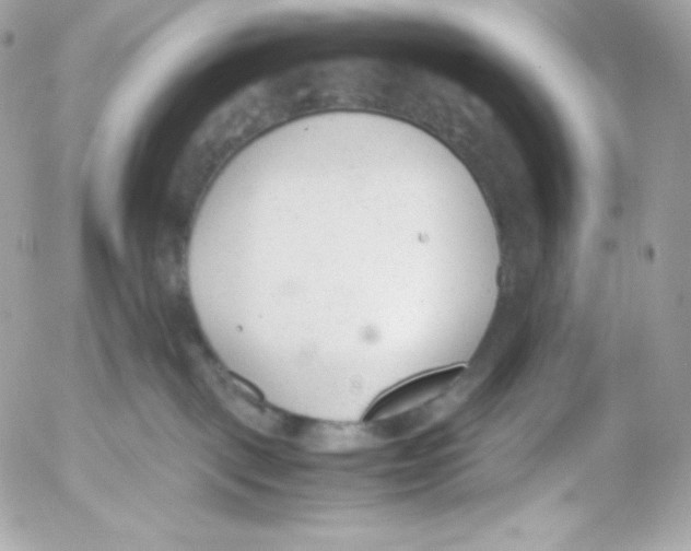 X0000052610093200507221710