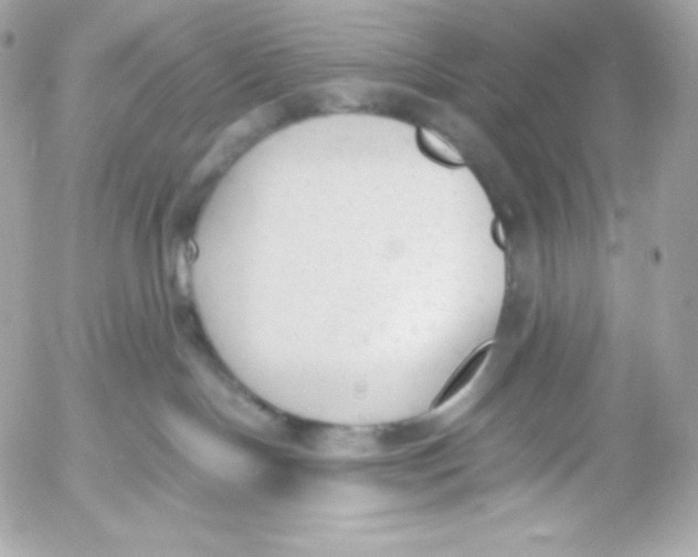 X0000052610094200507221710