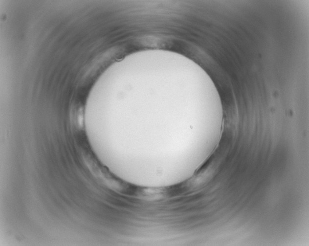 X0000052610095200507221710