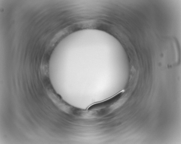 X0000052610096200507221710