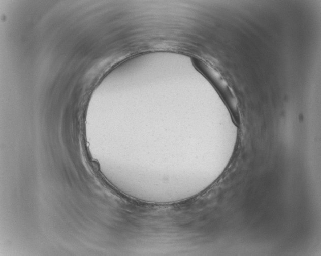 X0000052610097200507221709