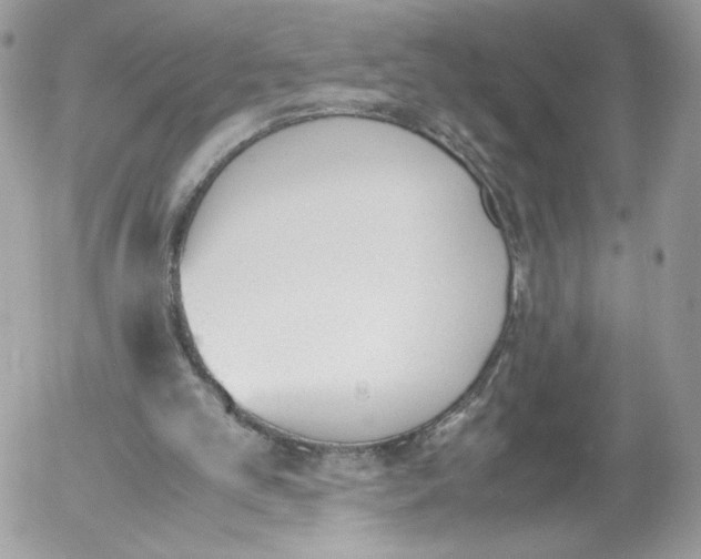 X0000052610101200507221709