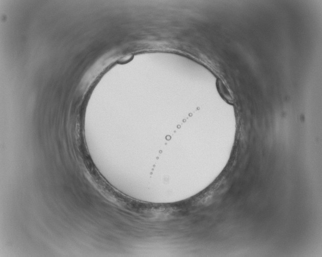 X0000052610103200507221709