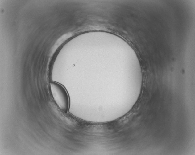 X0000052610104200507221709