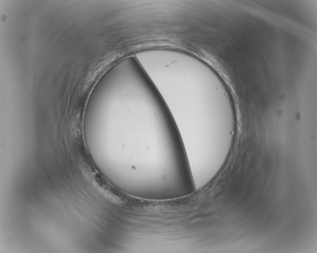 X0000052610105200507221709