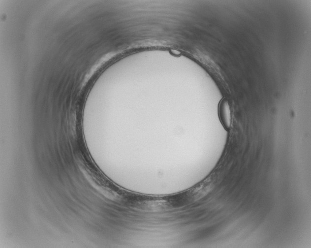 X0000052610108200507221709