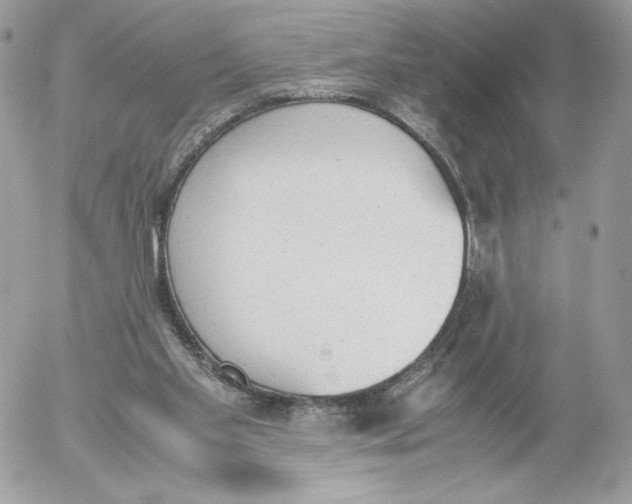 X0000052610109200507221709