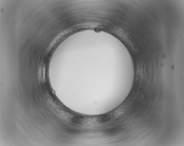 X0000052610110200507221709