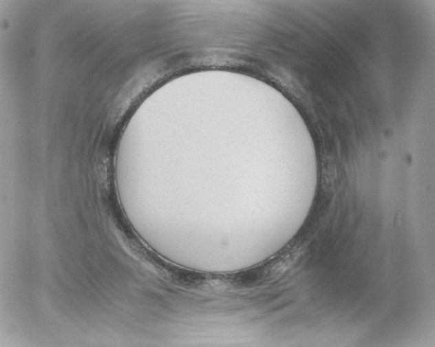 X0000052610111200507221709