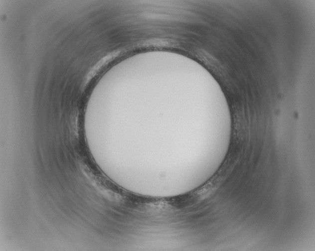 X0000052610112200507221709