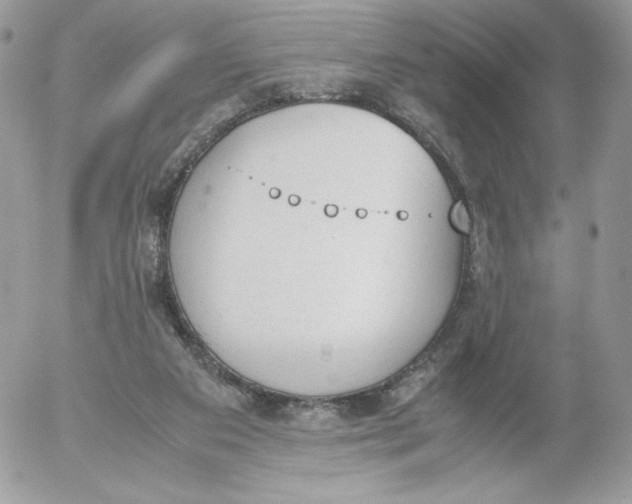 X0000052610113200507221709