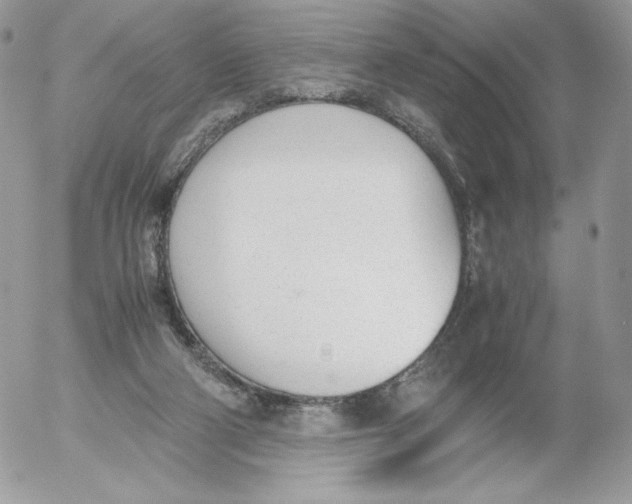 X0000052610114200507221709