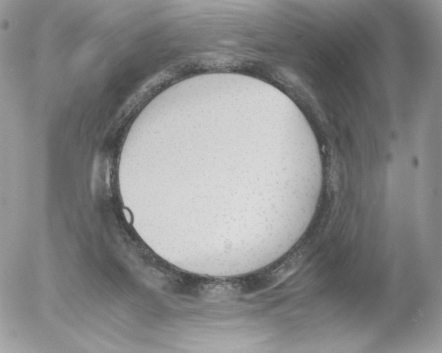 X0000052610115200507221709