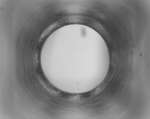 X0000052610116200507221709