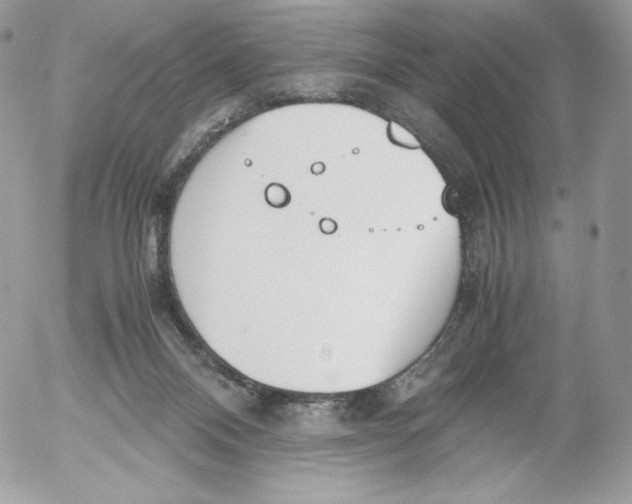 X0000052610120200507221709