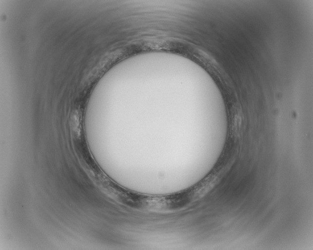 X0000052610121200507221709