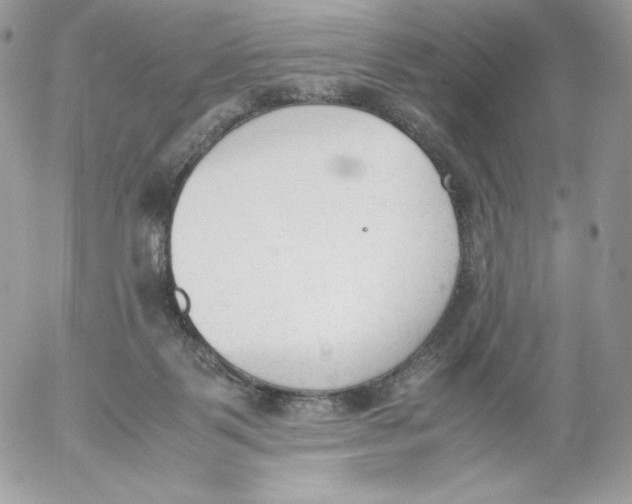 X0000052610123200507221709