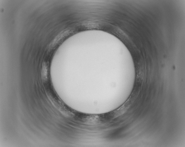 X0000052610124200507221709