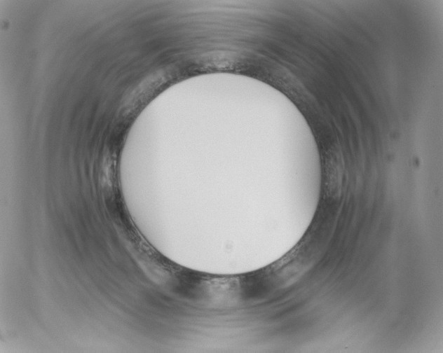 X0000052610126200507221709