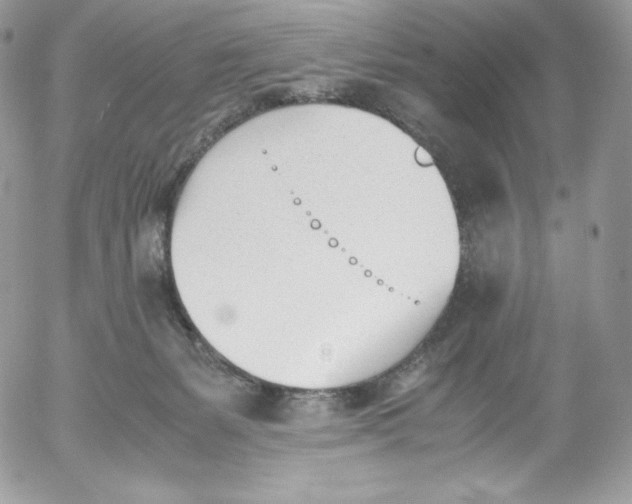 X0000052610127200507221709