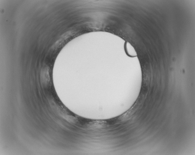 X0000052610128200507221709