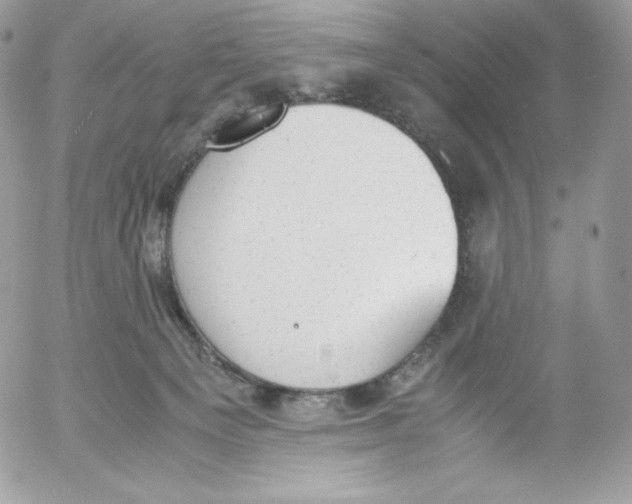 X0000052610129200507221709