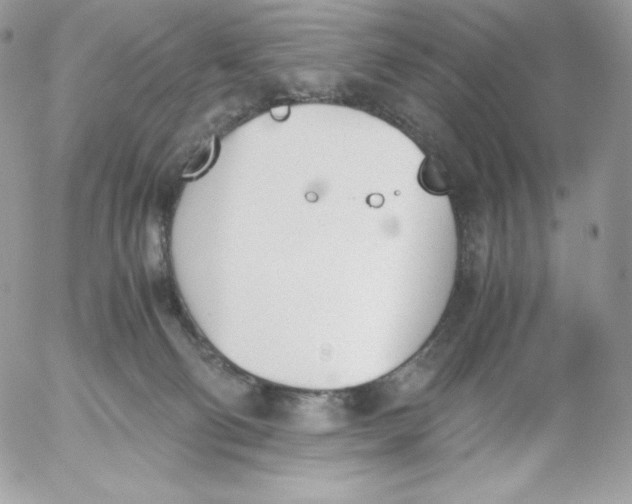 X0000052610130200507221709