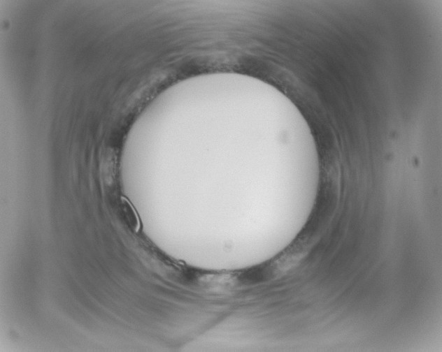 X0000052610133200507221709