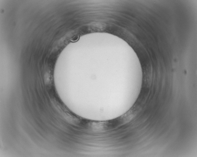 X0000052610134200507221709