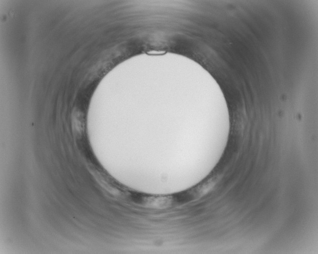 X0000052610135200507221709