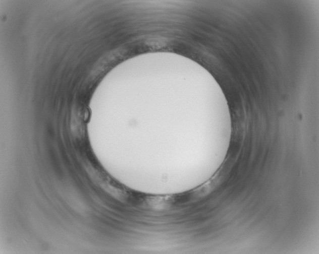 X0000052610136200507221709