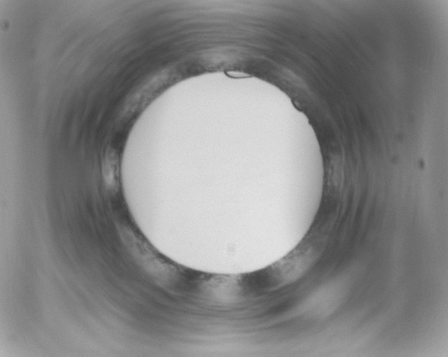 X0000052610138200507221709